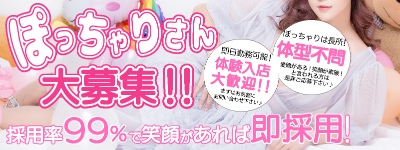 どす恋求人画像