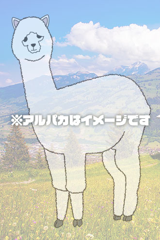 井上(いのうえ）画像3