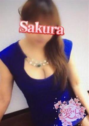さくら画像1