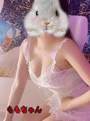 ももちゃん画像1